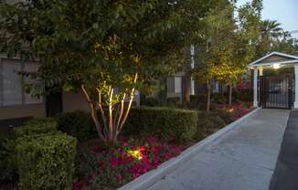 a sidewalk in front of a building with trees and flowers