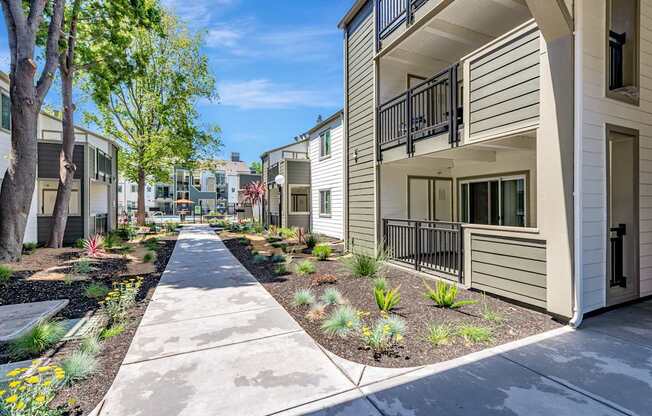 A row of modern townhouses with a sidewalk and landscaping.