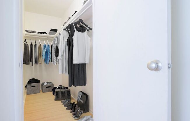 Studio, 1 bath, 375 sqft, $1,975, Unit 203