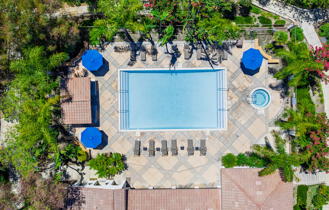 An aerial view of a pool surrounded by trees and a patio area.