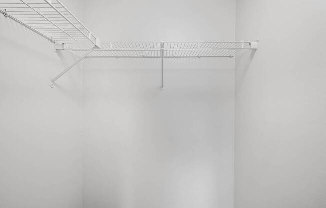 Renovated Unit Bedroom Closet