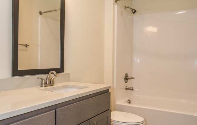 the preserve at ballantyne commons apartment bathroom with sink toilet and shower