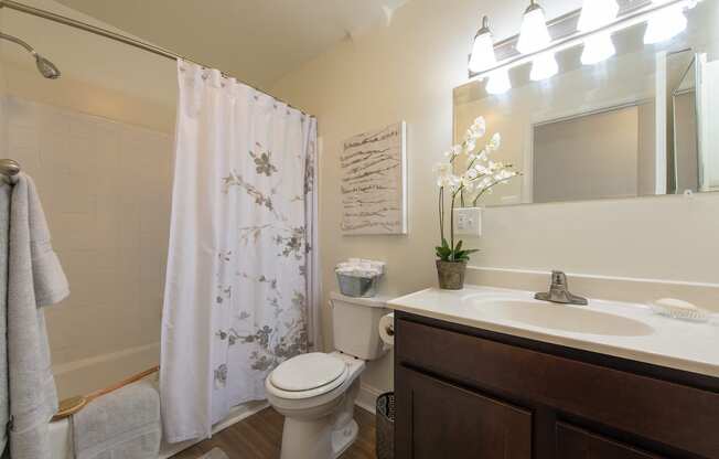 Bright Bathroom at Middletown Valley, Middletown, MD, 21769