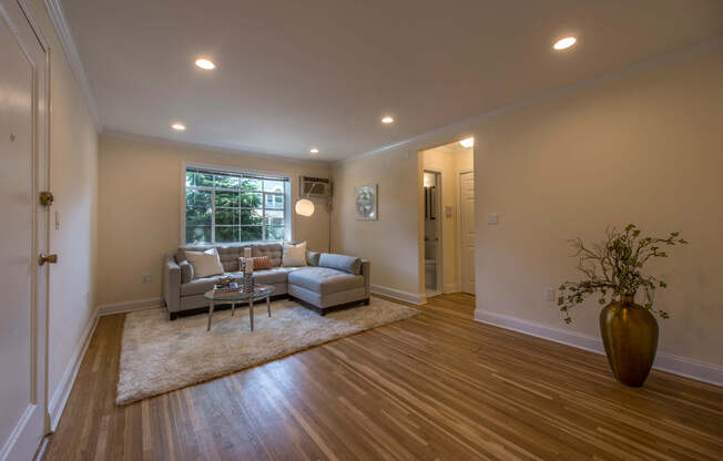 1 bed, 1 bath, 600 sqft, $3,125