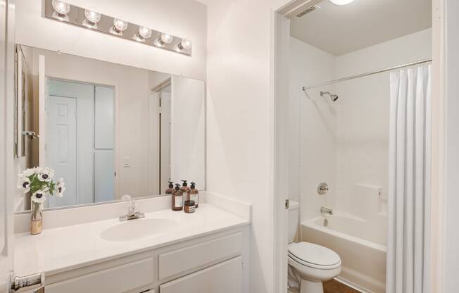 Bathroom at Arroyo Villa Apartments, Thousand Oaks, 91320