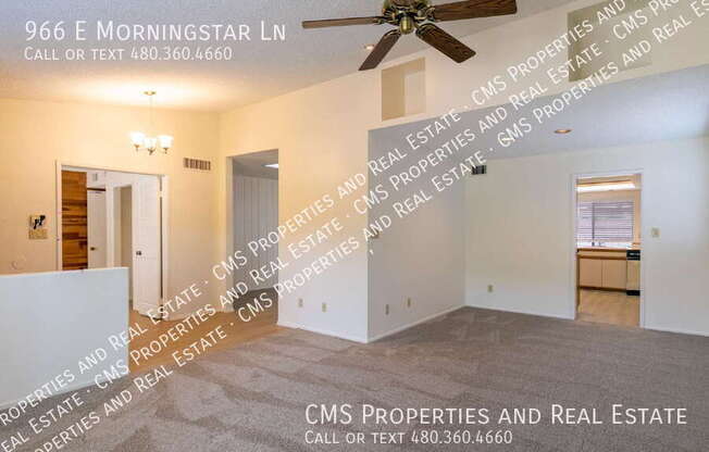 966 E Morningstar Ln