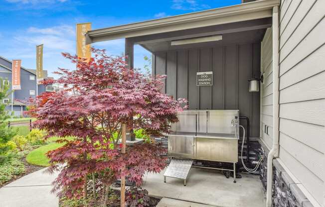 Outdoor Dog Washing Station  with Lavender Tree, Now Leasing Flags