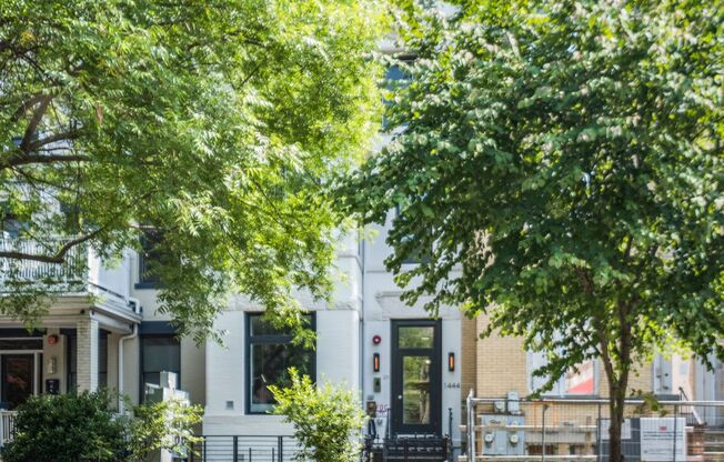 Lovely 1 BR/1.5 BA Condo in Columbia Heights!