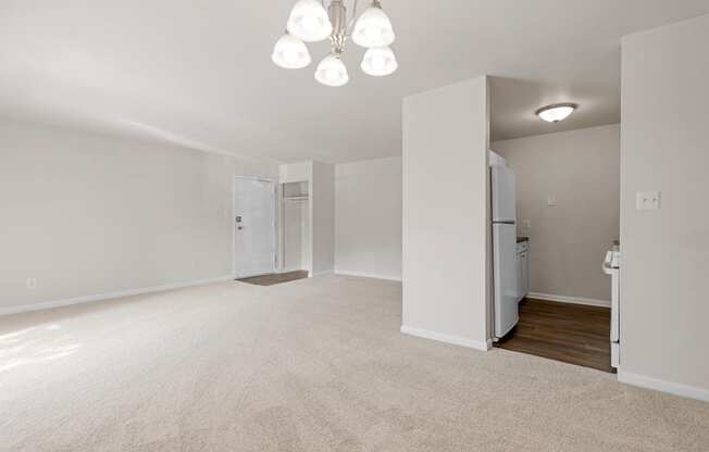 a bedroom with white carpet and white walls