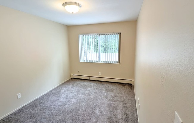 A room with a window and a carpeted floor.