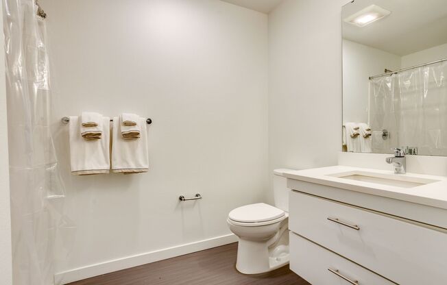 Studio, 1 bath, 542 sqft, $1,250, Unit 229