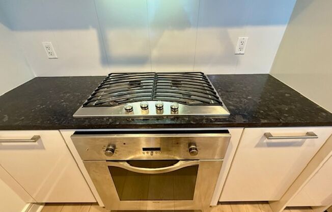 2BR 2BA @ The BLU in SOMA/South Beach -AMSI