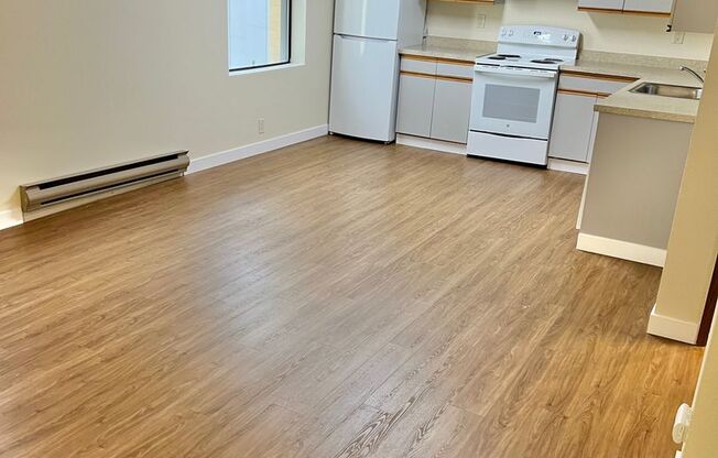 Studio, 1 bath, 393 sqft, $1,295, Unit 318