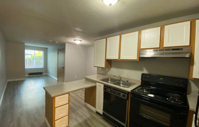 1 bed, 1 bath, 442 sqft, $1,415, Unit B101