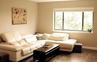 276 Chestnut Hill Ave Apt 15