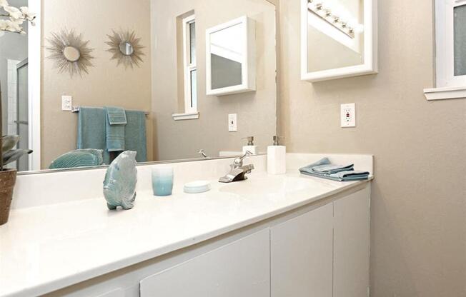 Bathroom counter top and sink