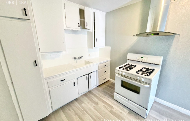 441 W SANTA CRUZ ST