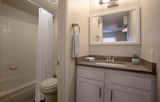 Bathroom at The Link at 4th Ave Apartments