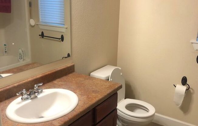 Studio, 1 bath, 600 sqft, $995, Unit 202