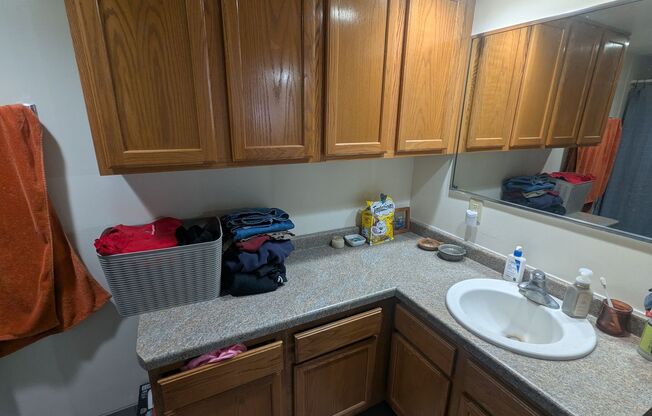 1 bed, 1 bath, 620 sqft, $1,450, Unit 215