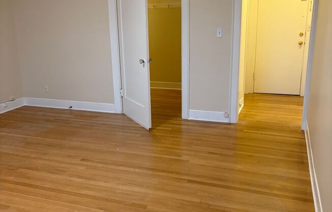 Studio, 1 bath, 454 sqft, $1,545, Unit 308