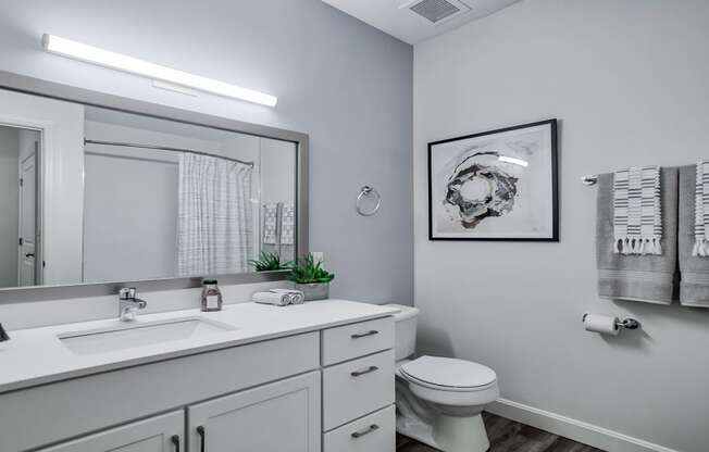 Modern Bathrooms with Extra Storage Space at Windsor at Oak Grove, Melrose, 02176