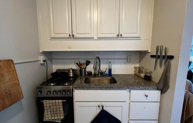 Studio, 1 bath, 300 sqft, $1,435, Unit Unit 415