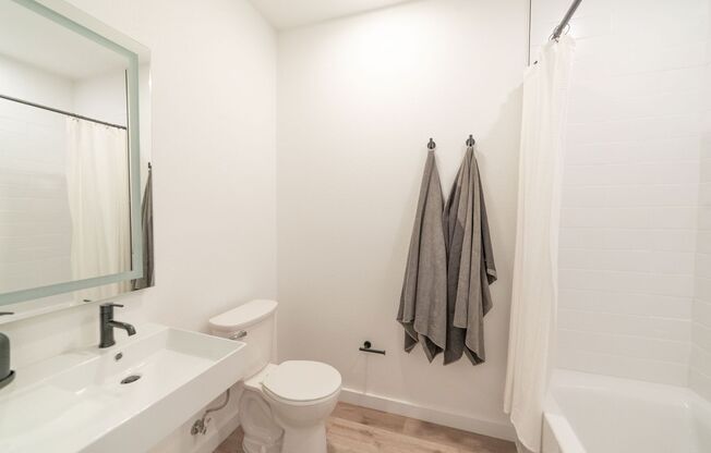 Studio, 1 bath, 349 sqft, $997, Unit Premium Shared Studio