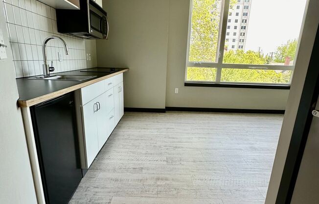 Studio, 1 bath, 238 sqft, $1,095, Unit 307