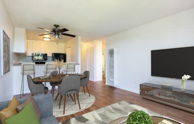 1 bed, 1 bath, 510 sqft, $1,675, Unit 104