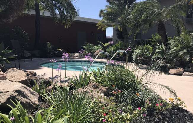 a swimming pool in a garden with palm trees