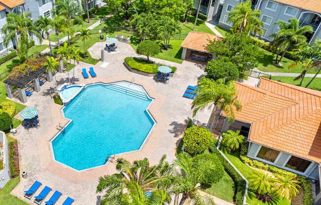 A swimming pool surrounded by palm trees and blue lounge chairs.