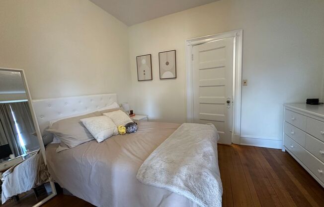 1 bed, 1 bath, 500 sqft, $2,450, Unit 41