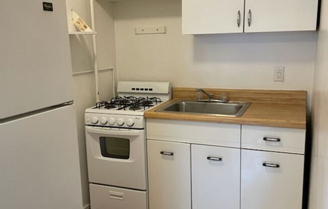 Studio, 1 bath, 487 sqft, $1,250, Unit Fifth 103