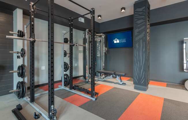 a home gym with weights machines and a tv