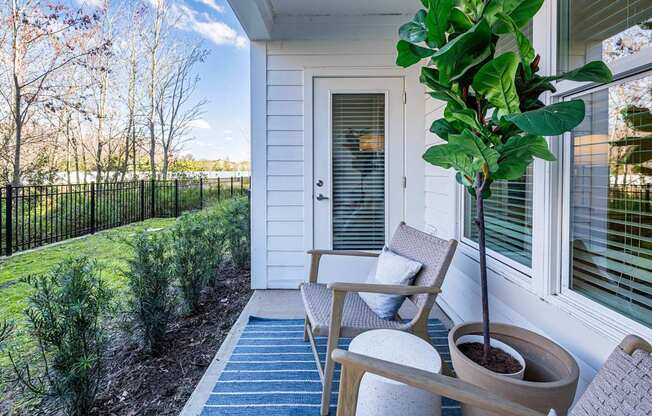 A small tree in a pot sits on a porch.