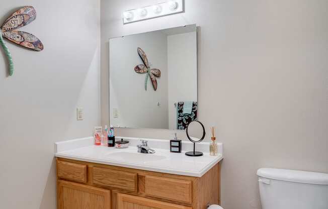 Bathroom with Large Sink Area