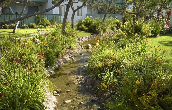 Courtyard with Green Space, at Pacific Oaks Apartments, Towbes, Goleta, 93117