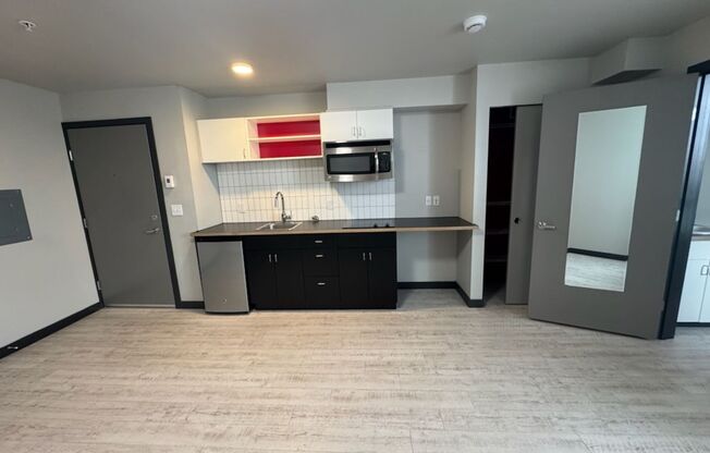 Studio, 1 bath, 309 sqft, $1,195, Unit 511