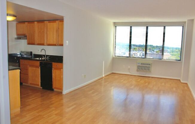 Studio, 1 bath, 454 sqft, $1,875, Unit 1007