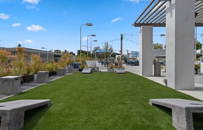 a grassy gaming area with benches and plants