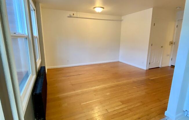 Studio, 1 bath, 325 sqft, $1,295, Unit 115