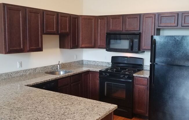 2 beds, 1 bath, 1,000 sqft, $2,000, Unit 1