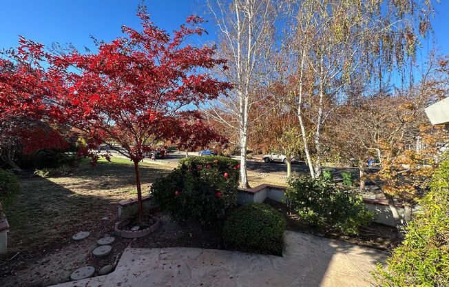 LOS GATOS - Beautifully upgraded property in desirable Los Gatos location, Los Gatos Schools