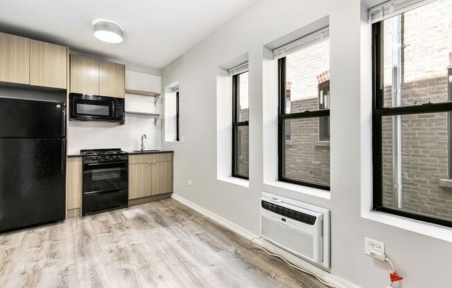 Studio, 1 bath, 219 sqft, $1,325, Unit 217