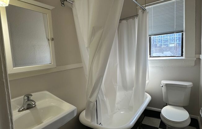 1 bed, 1 bath, 455 sqft, $1,095, Unit 310