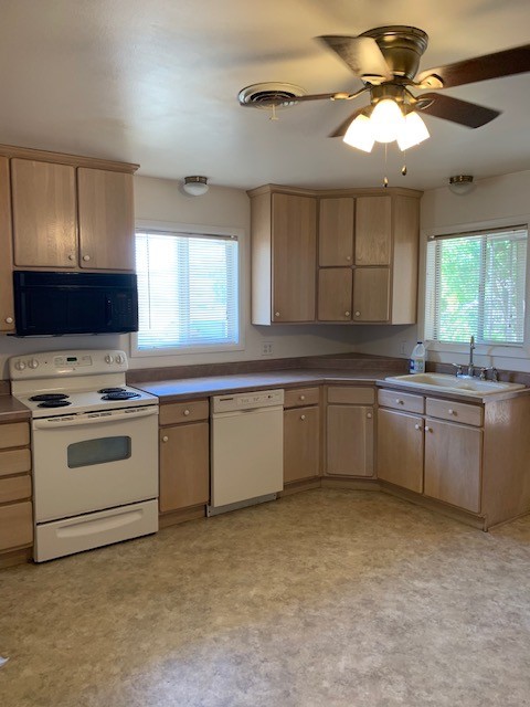 2 beds, 2 baths, $1,250