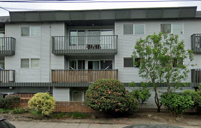 Golden Inca - Newly Renovated 1BR/1BA Apartment w/ Modern Finishes