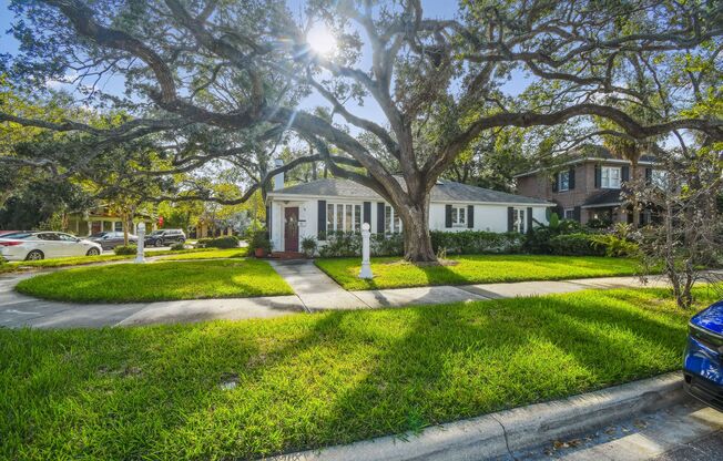Beautiful Home on Davis Island