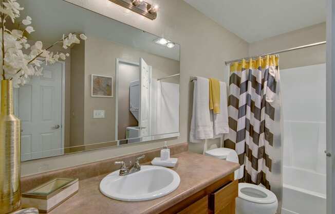 Ridge and Shores Bathroom Apartments in Federal Way, WA